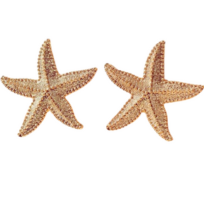 Star Shaped Stud Earrings